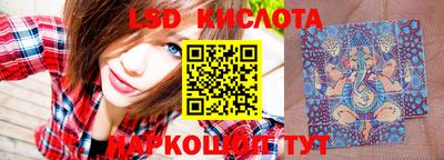 PSILOCYBIN Гусев